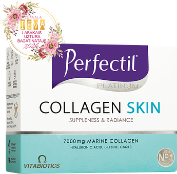 collagen skin.png